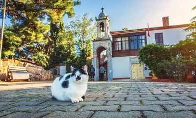 Büyükada