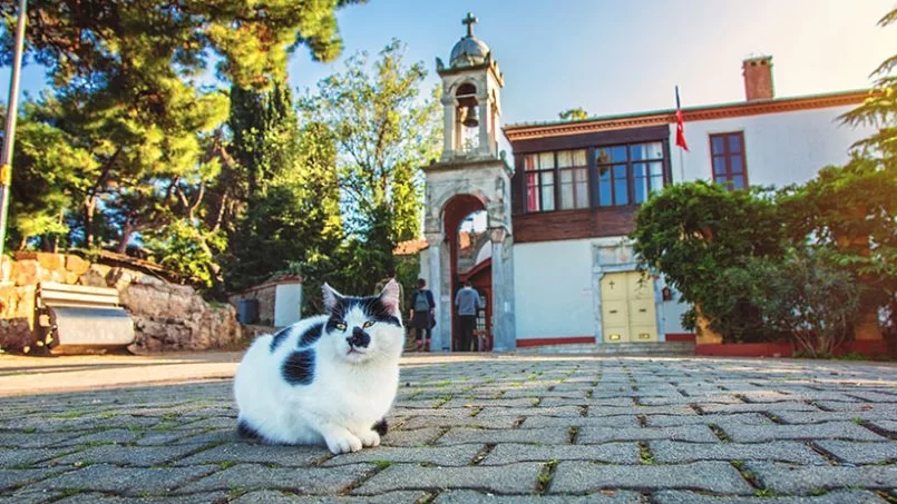 Büyükada